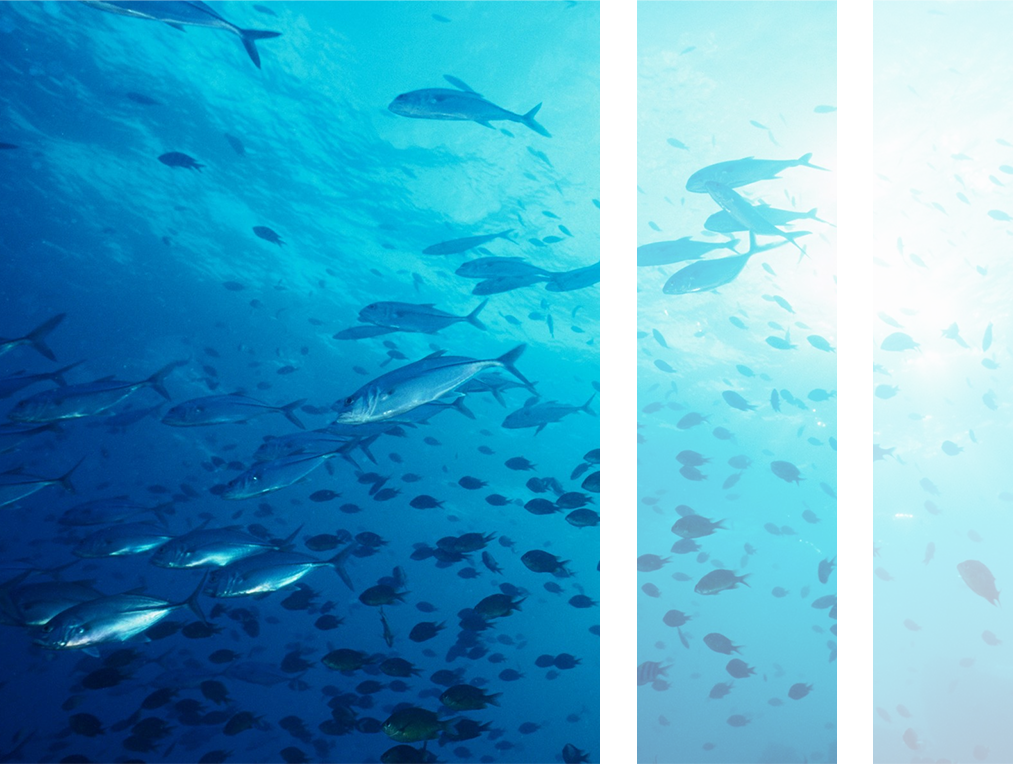 Ocean Recycled Filaments